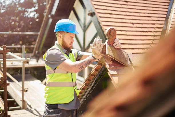 Best Roof Gutter Cleaning  in Bloomington, IL
